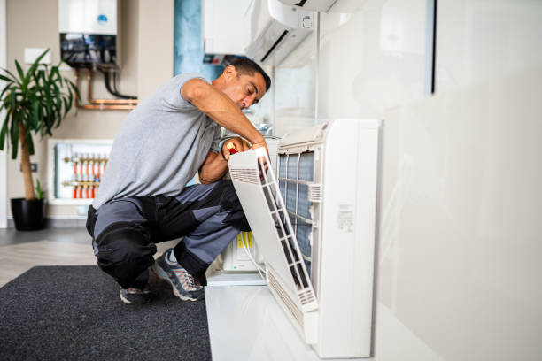 Best Affordable Duct Cleaning Services  in Dixon, IL