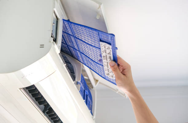 Best Ductwork Cleaning Services  in Dixon, IL