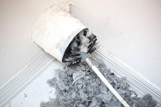 Best Ventilation Cleaning Services  in Dixon, IL